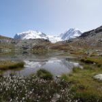 Das Monte-Rosa Massiv spiegelt sich im Riffelsse unterhalb des Gornergrats in Zermatt