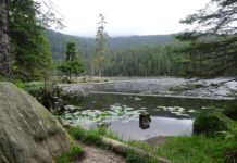Der Arbersee im Bayerischen Wald