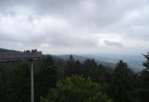 Aussichtsplattform Waldwipfelweg in Sankt Englmar